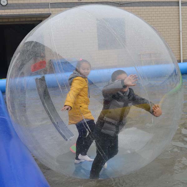 Giant Human Sized Hamster Ball Co., Ltd.
